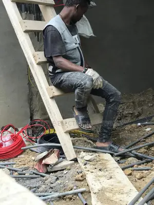 Domestic Electrician