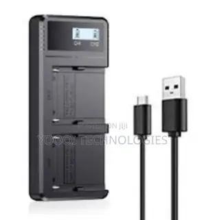 Dual Sony NPF Battery Charger