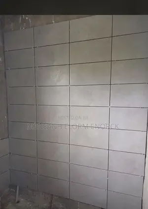 Professional Tiler