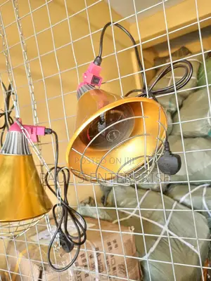 Heater Brooder Lamp for Poultry,Pigs and Other Animals