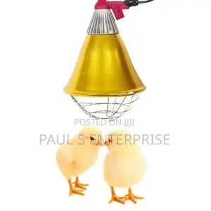 Heater Brooder Lamp for Poultry,Pigs and Other Animals