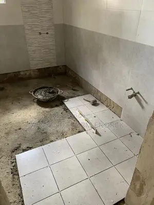 Professional Tiler