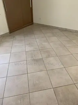 Professional Tiler