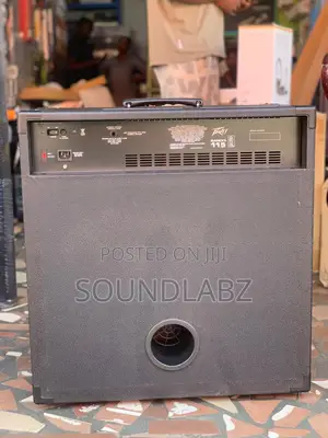 Fender Jazz Bass Guitar Combo (With Bandit 115)