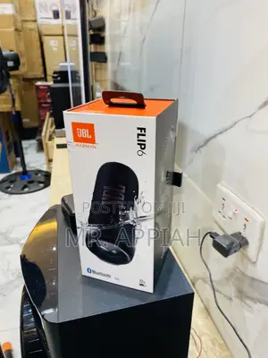 Long Lasting JBL Flip 6 Portable Wireless Bluetooth Speaker