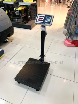 Electric Scale (Camry)