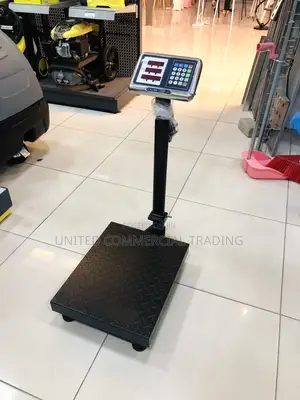 Electric Scale (Camry)