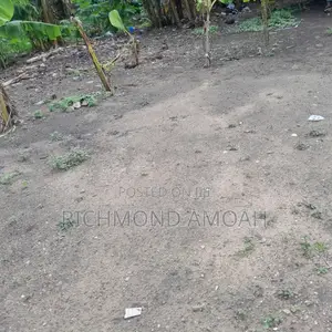 Half Plot for Sale at Queen of Peace Inside
