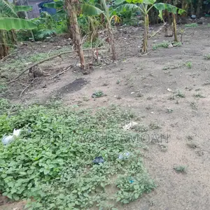 Half Plot for Sale at Kansa City