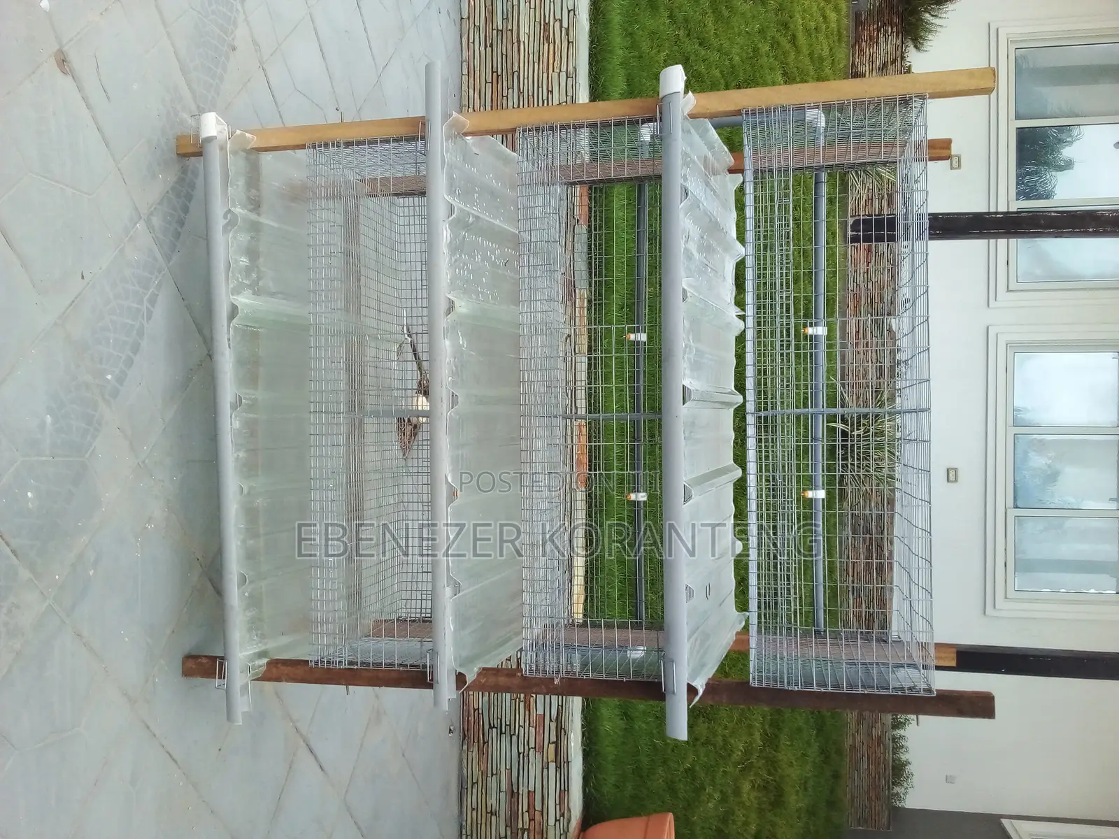6 Unit Rabbit and Grasscutter Cage