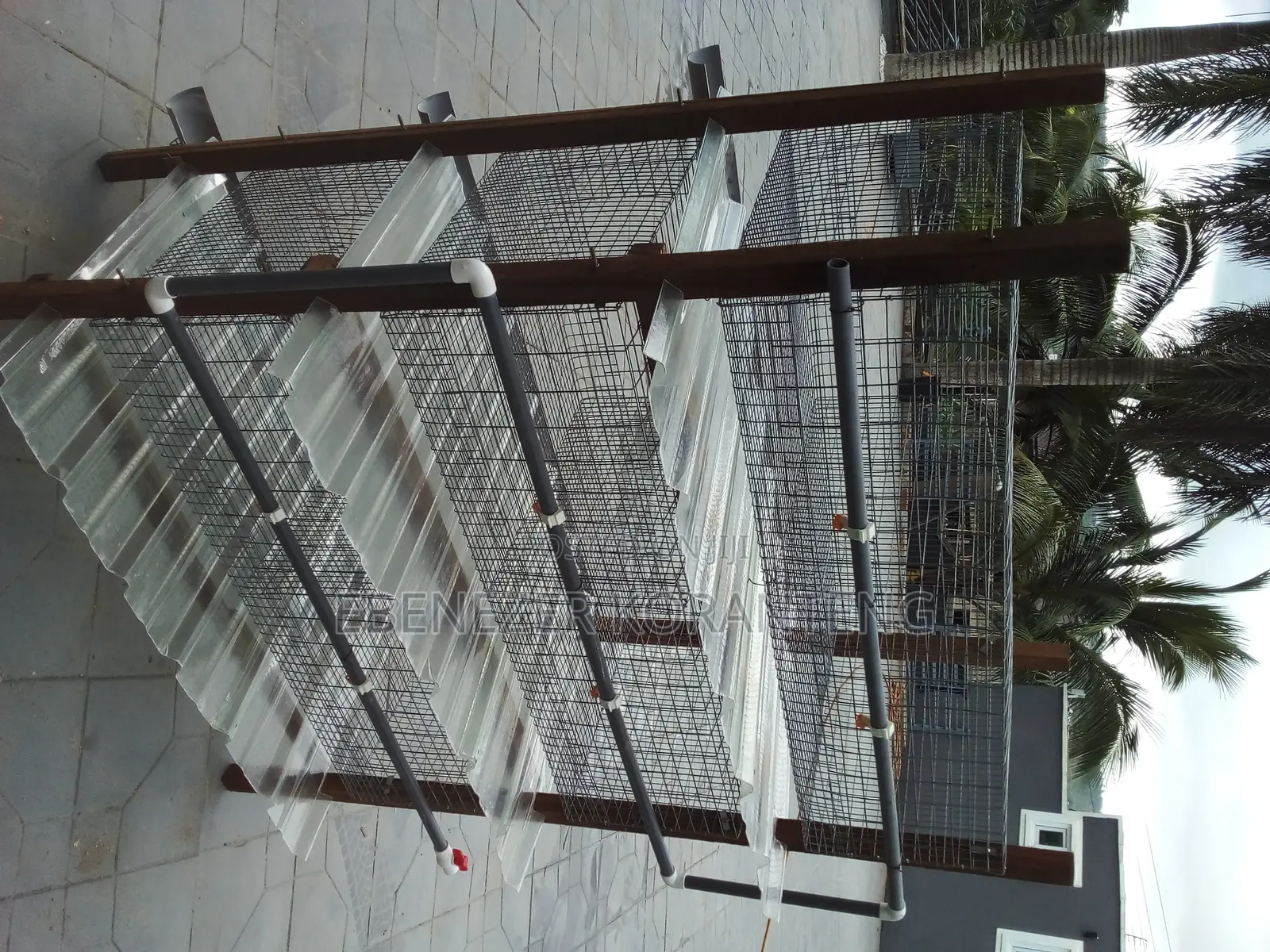 6 Unit Rabbit and Grasscutter Cage