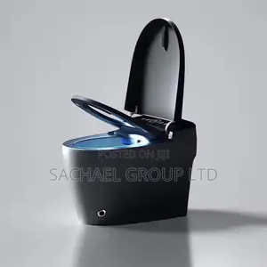 Smart Luxurious Sensor Water Closet