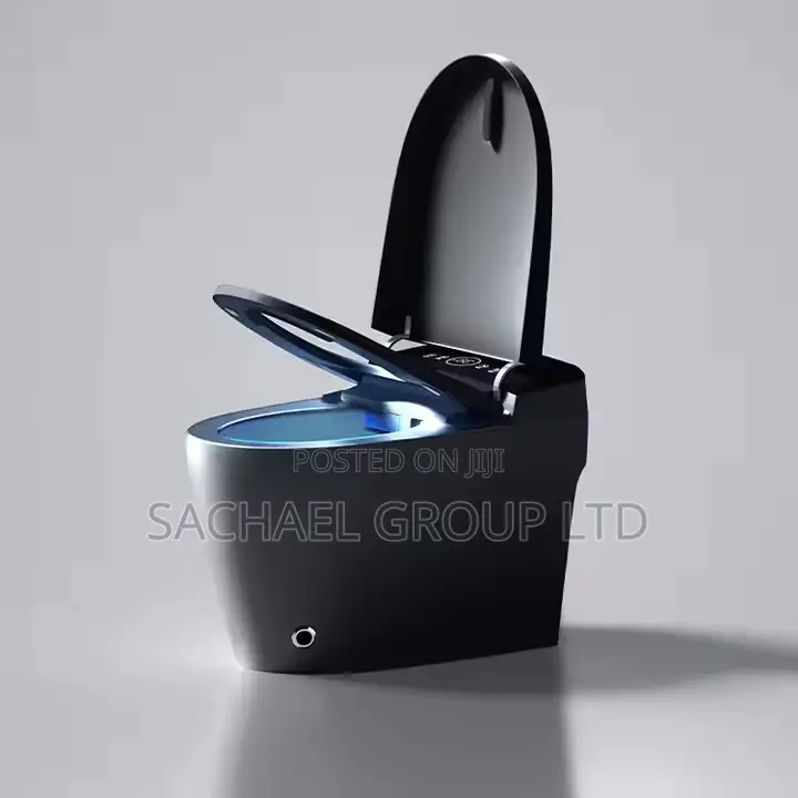 Smart Luxurious Sensor Water Closet