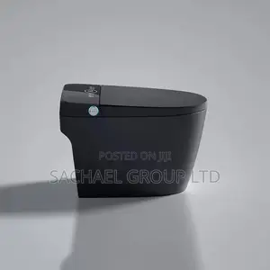 Smart Luxurious Sensor Water Closet