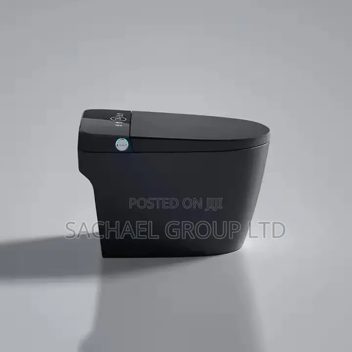 Smart Luxurious Sensor Water Closet