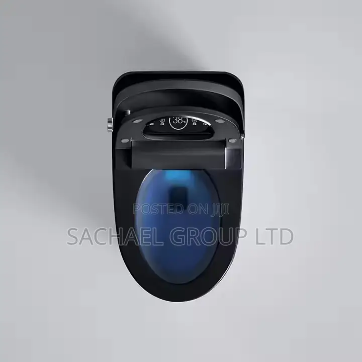 Smart Luxurious Sensor Water Closet
