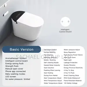 Smart Luxurious Sensor Water Closet