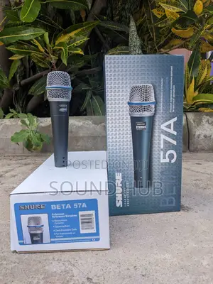 Shure Professional Wired Mic