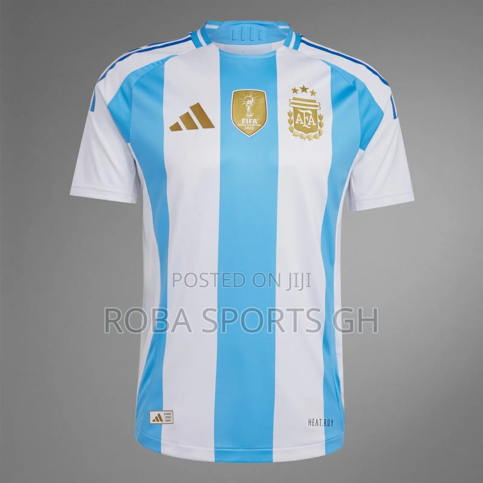 2024/25 Argentina Home Jersey
