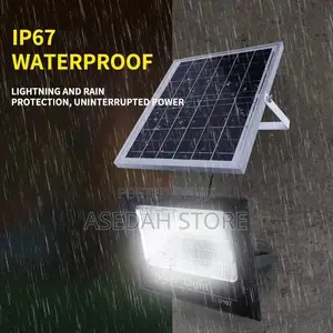 Remote Control Street Solar Light 100w