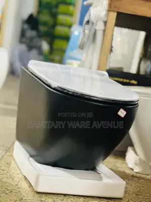 Concealed Water Closet - Black WC - Wall Hung Toilet