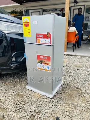 Buy Zara 135 KH Double Door Electric Refrigerator(Gray).