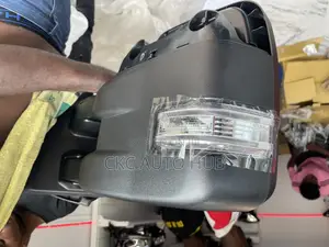 Ford F150 2016 to 2019 Side Mirror