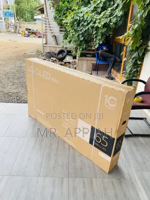 High Quality LG 65 Oled 65 Inch Oled Smart Tv(Black).