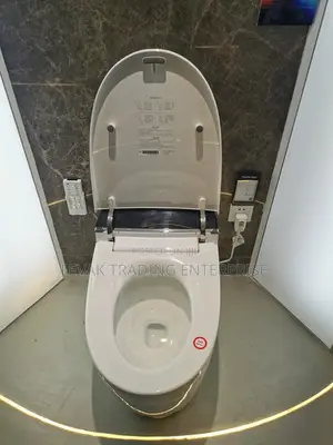 Smart , Intelligent Watercloset, Automatic Toilet Seat