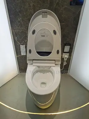 Smart , Intelligent Watercloset, Automatic Toilet Seat