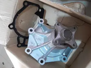 Hyundai Starex 02-08/H1 08-011/Kia Sorento 03-09 Water Pump