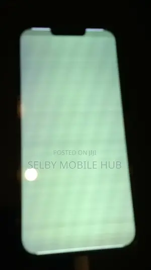 iPhone 13 Pro Max White or Green Screen Repair