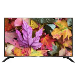 Best Buy Nasco FHD Tv Satellite Digital Television 32”