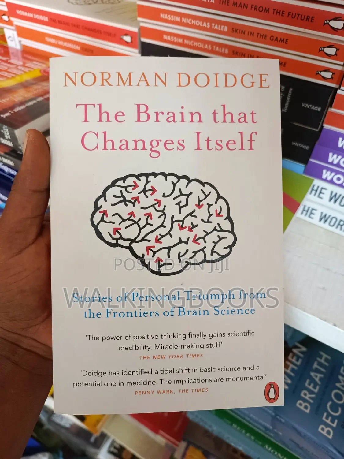 The Brain That Changes Itself