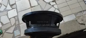 RCF 10inches Naked Speaker