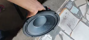 RCF 10inches Naked Speaker