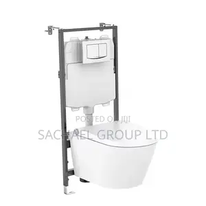 Wall-Mounted Water Closet