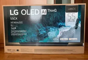 Designed For Your Home | OLED Webos Thinq AI TV | 55" LG