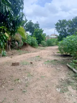 Road Side Land at Agbazo Close to Hobor