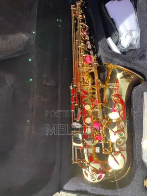 Golden Premier England Alto Saxophone