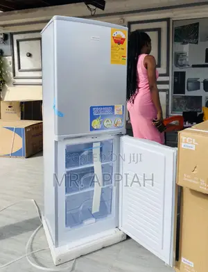 Well Design Nasco NASD2-20 2 Door Electric Fridge(Gray).