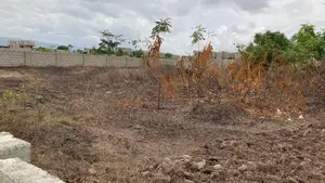 Two Plots of Land for Sale Located at Oyarifa Ghana Flag