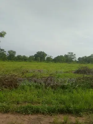 20,000 Acres of Farm Land for Sale