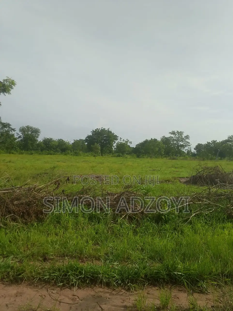 20,000 Acres of Farm Land for Sale