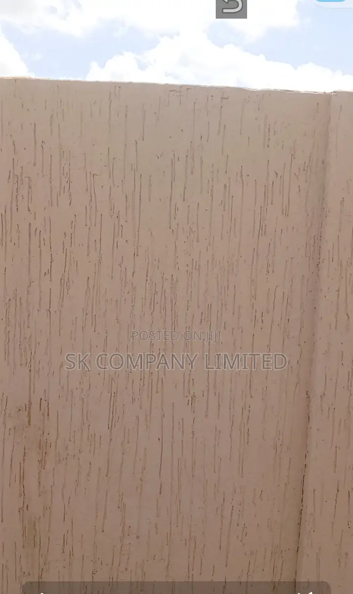 Anti -Damping Waterproof Graffiato Paint