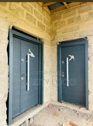 Customized Full Metal Security Door