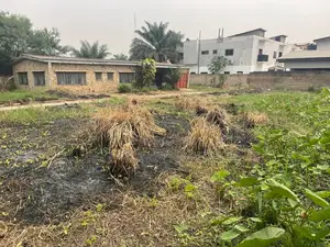 Registered and Titled Land for Sale