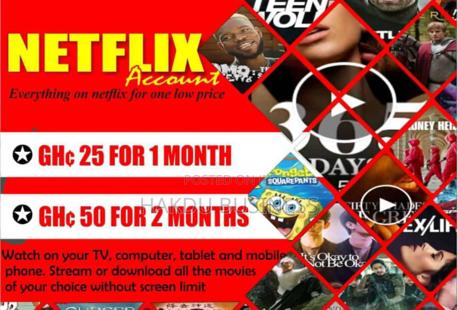 Netflix Accounts (Shared /Personal)