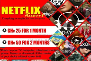 Netflix Accounts (Shared /Personal)