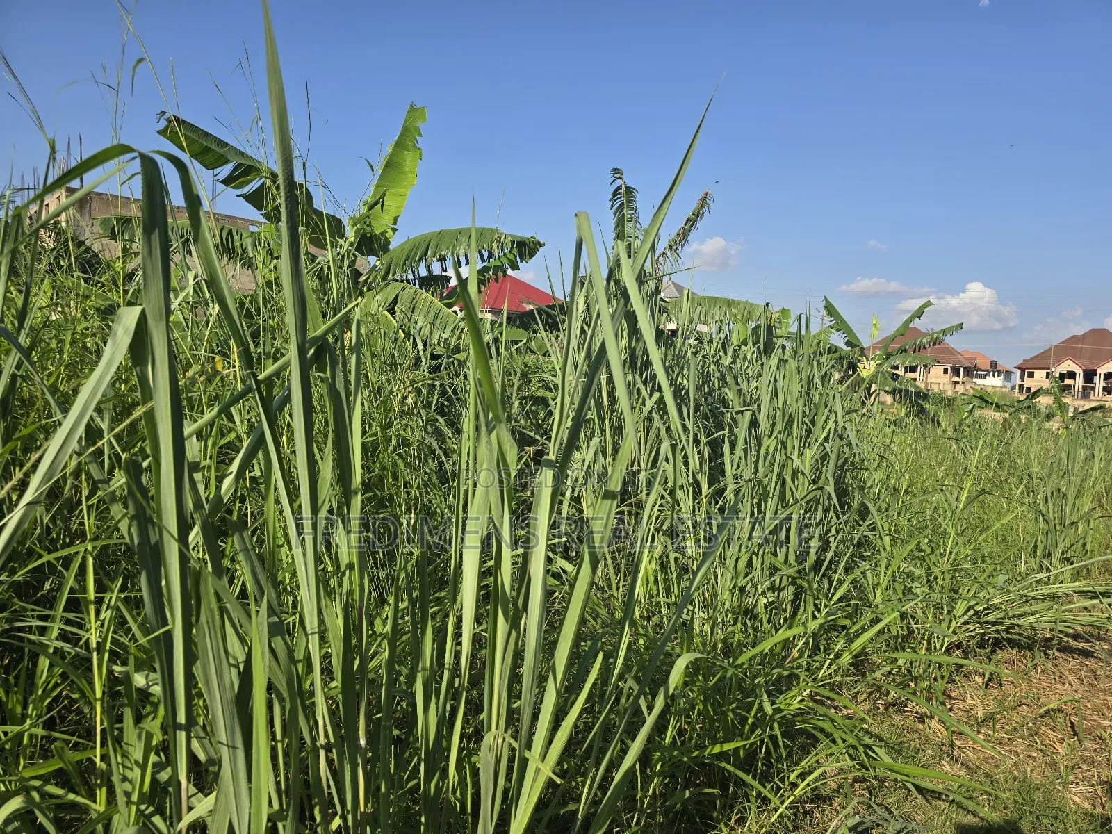 A Land at Kokoben for Sale